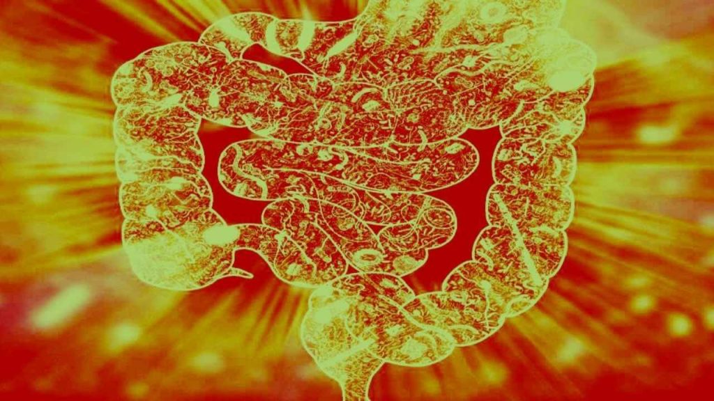 diagram of gut organs and microbiome